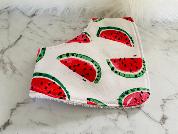 Watermelon Dribble Bib